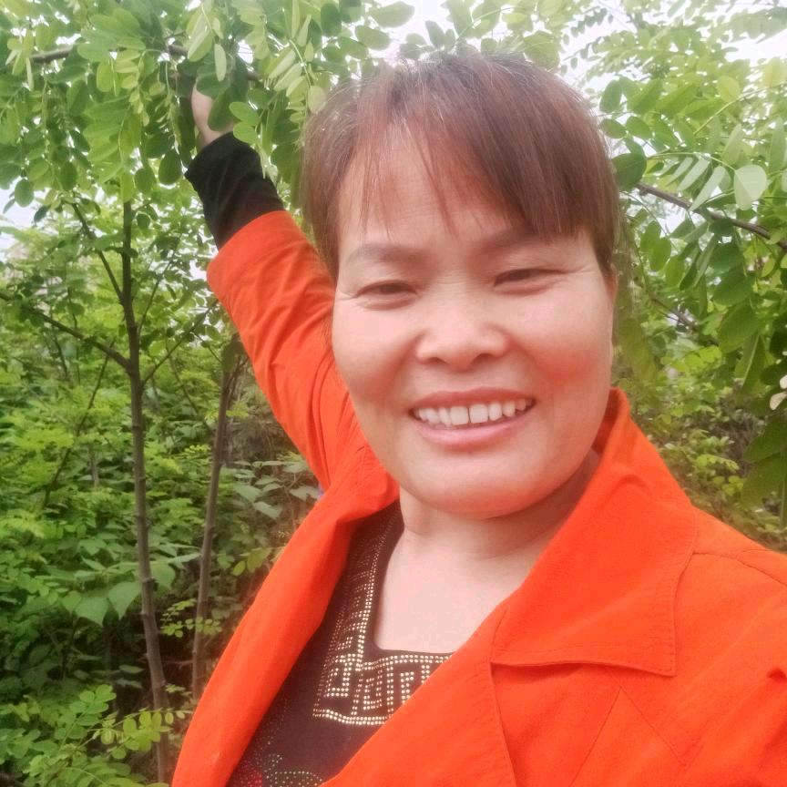 好运连连《早上6:10开播》