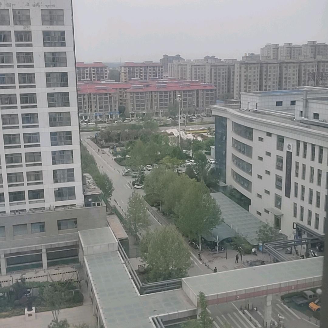 青年里我没对手