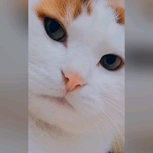 🌈赵立雄