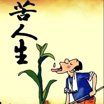 稻香老农