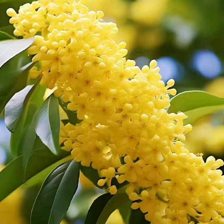 讲升学的好老师