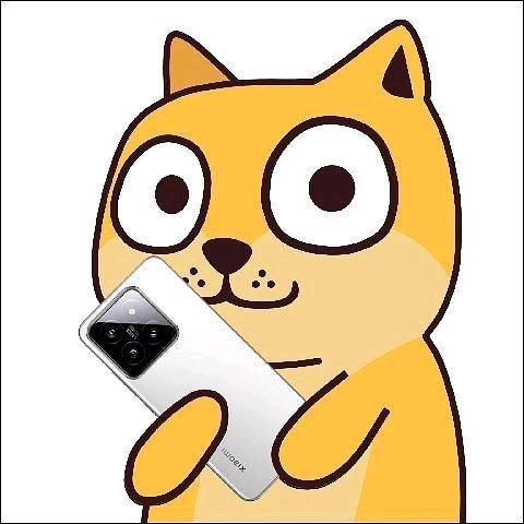 小鱼儿
