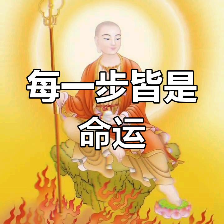 执念兜转