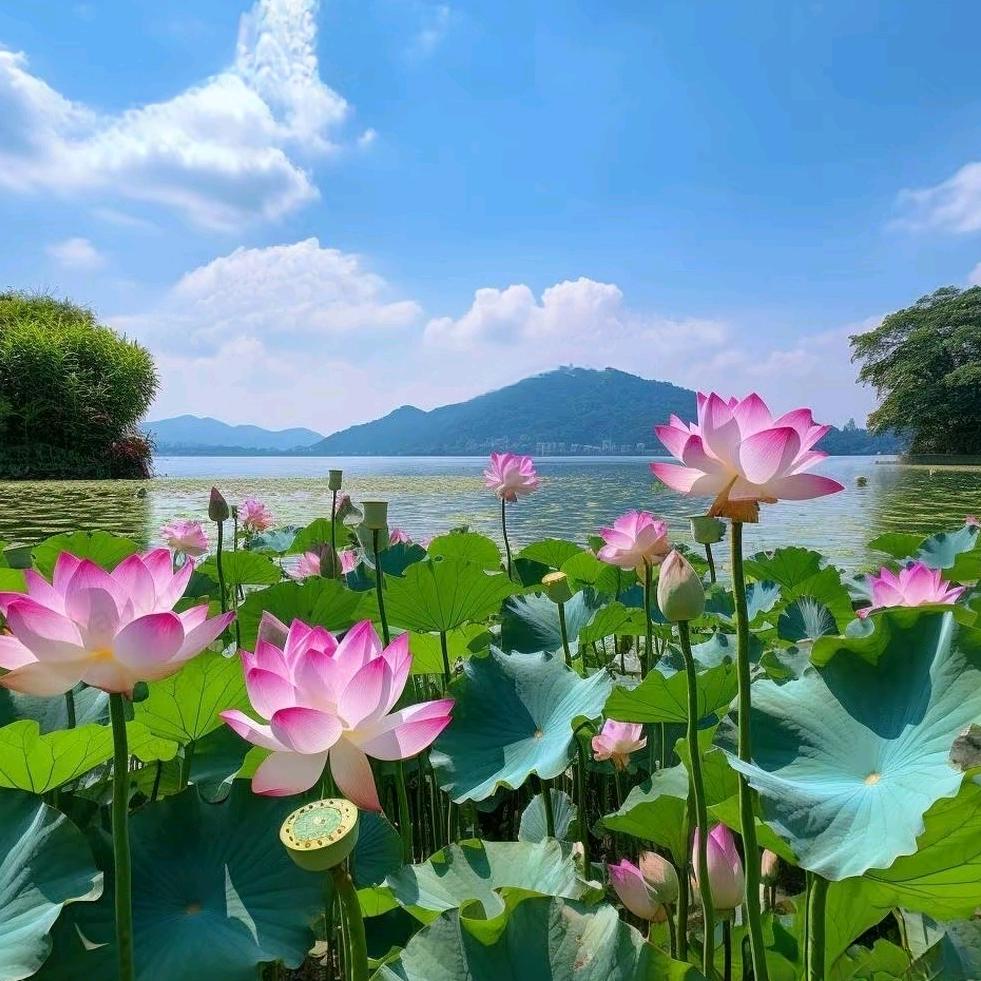 一束光☀️