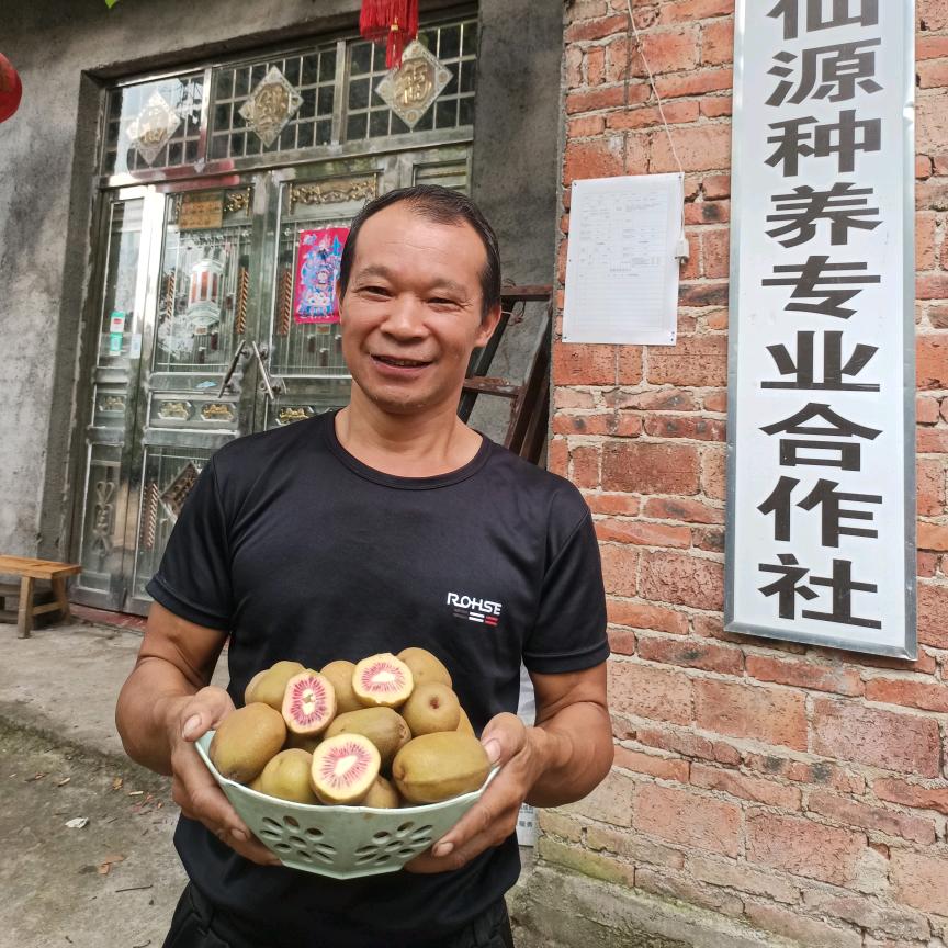 大仙殿坤哥
