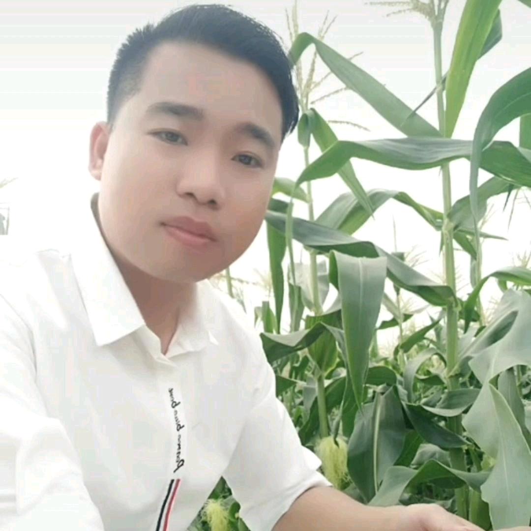 越南 tin tức giải trí