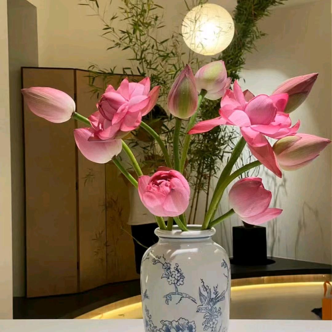 项城木易装饰