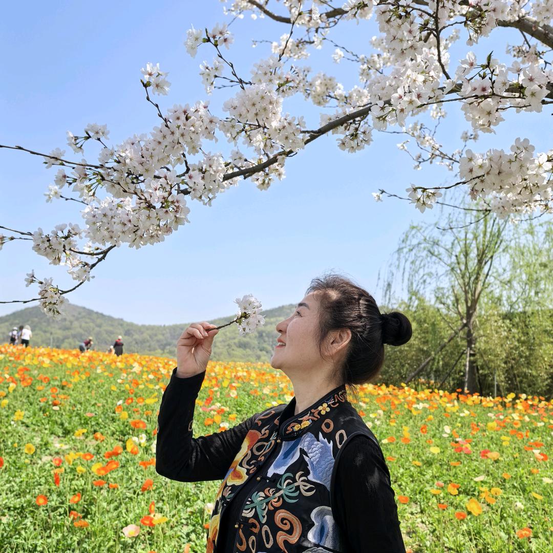 祯善美🌻🌻🌻（拒私聊）