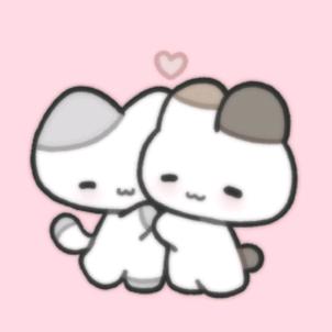 不会画画小猫