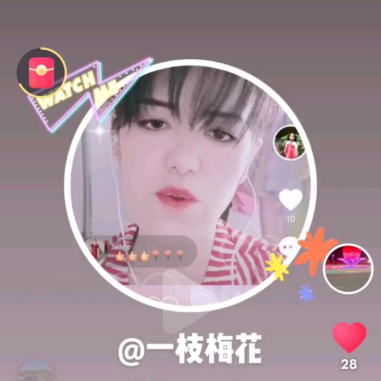 一枝梅花