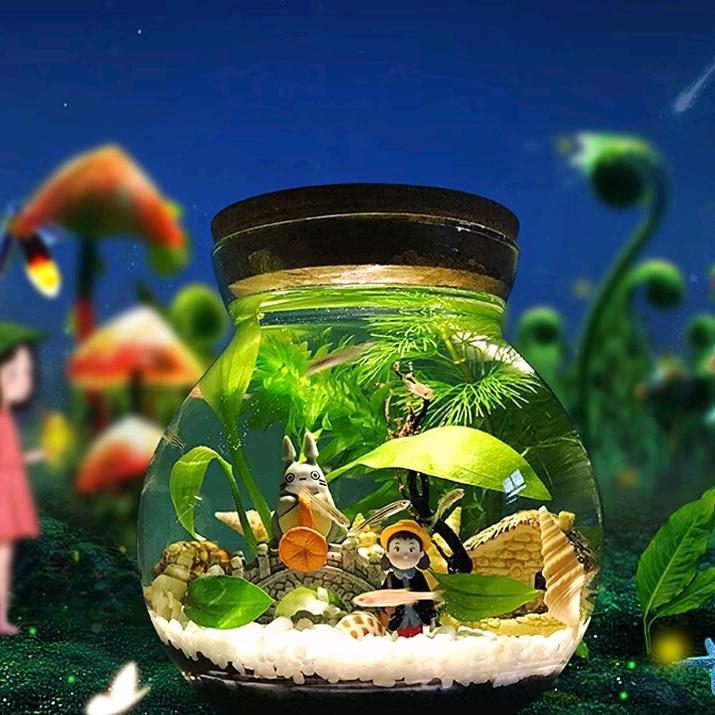 大小鱼水族