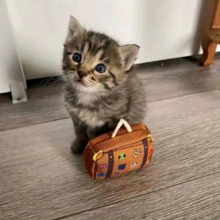 来点困意