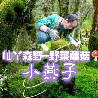 跑山人燕子农产品