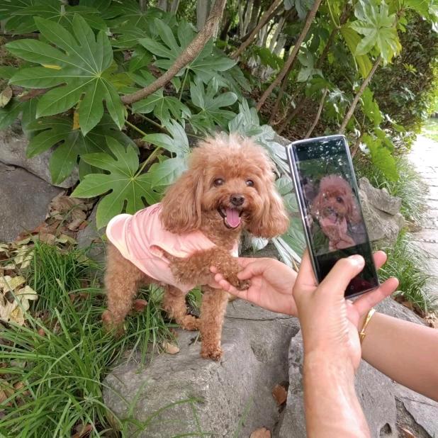 强健体魄·保宁