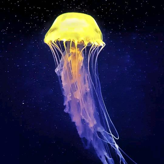 希晞哈哈