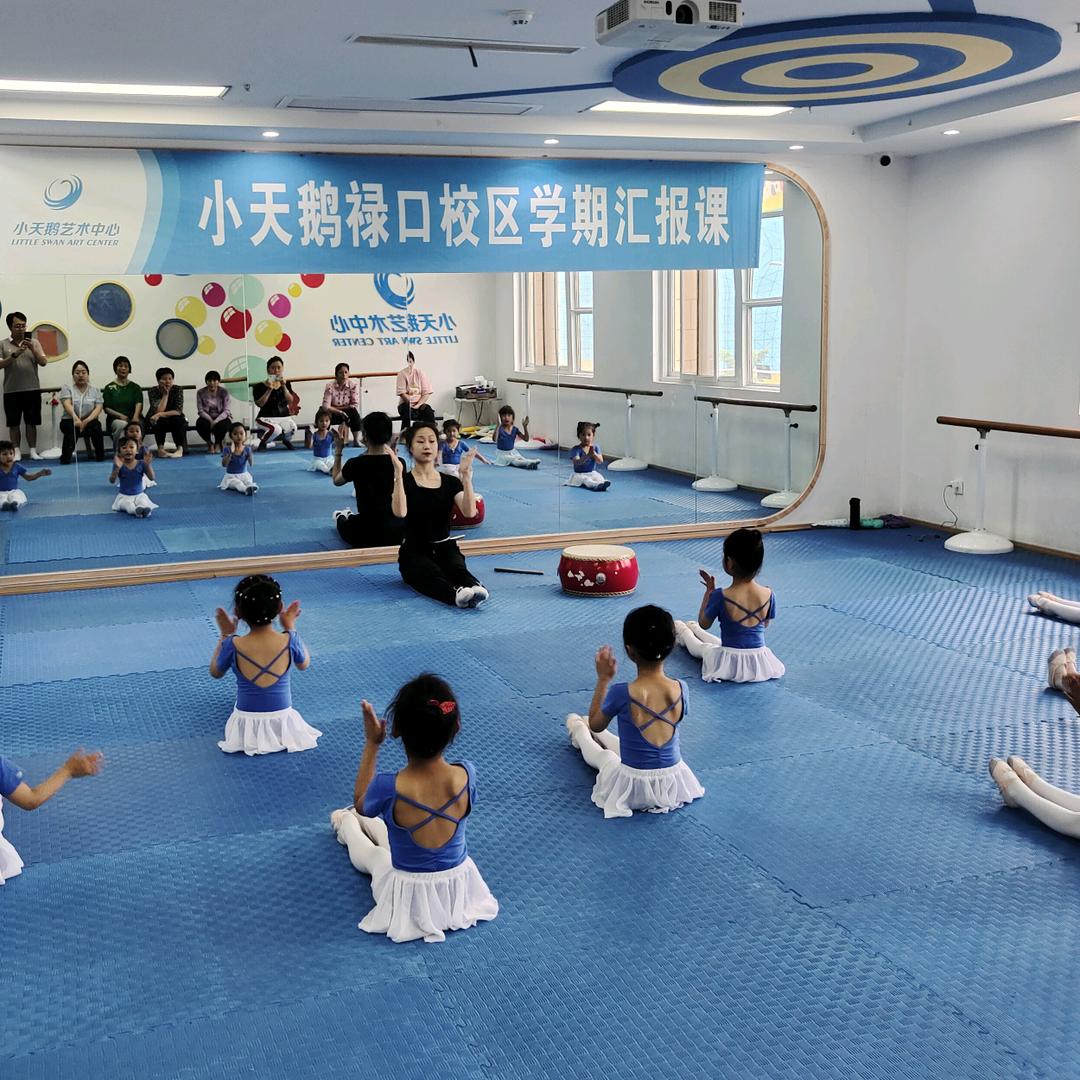 小天鹅艺术中心（禄口校区）