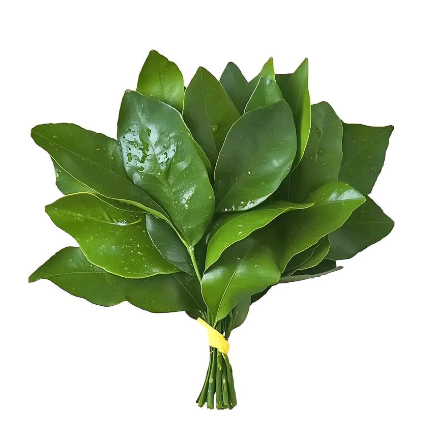 @🌹花开富贵🐟