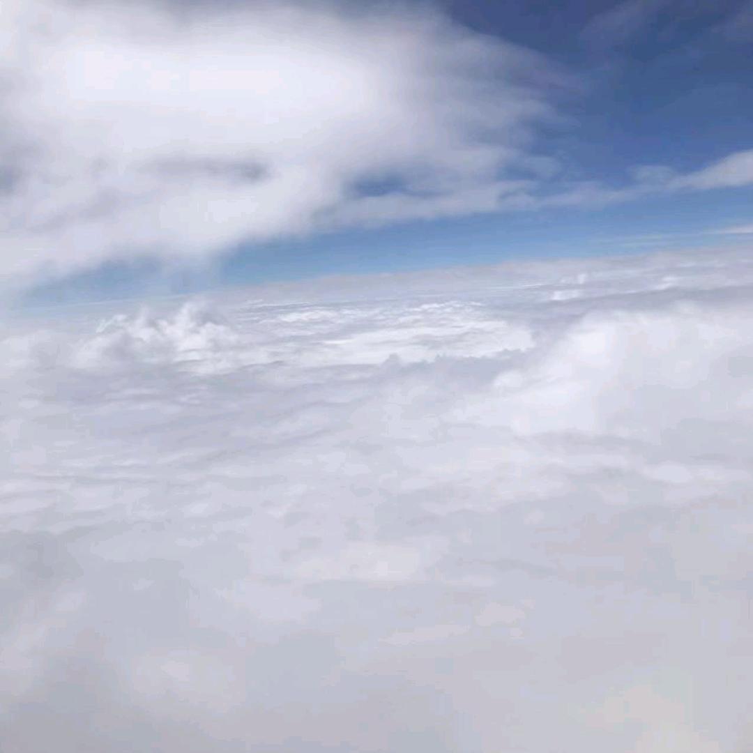 蝶 ！