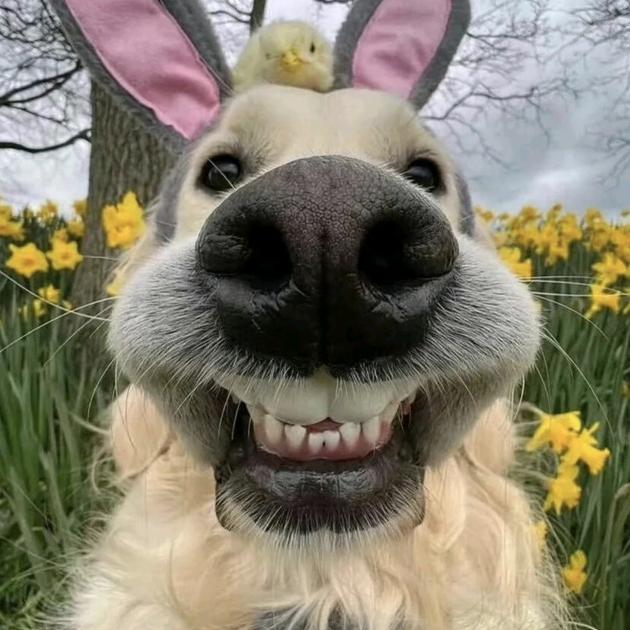 阳光也要加油呀