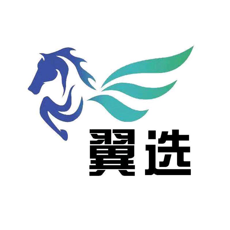 翼选翼专卖店