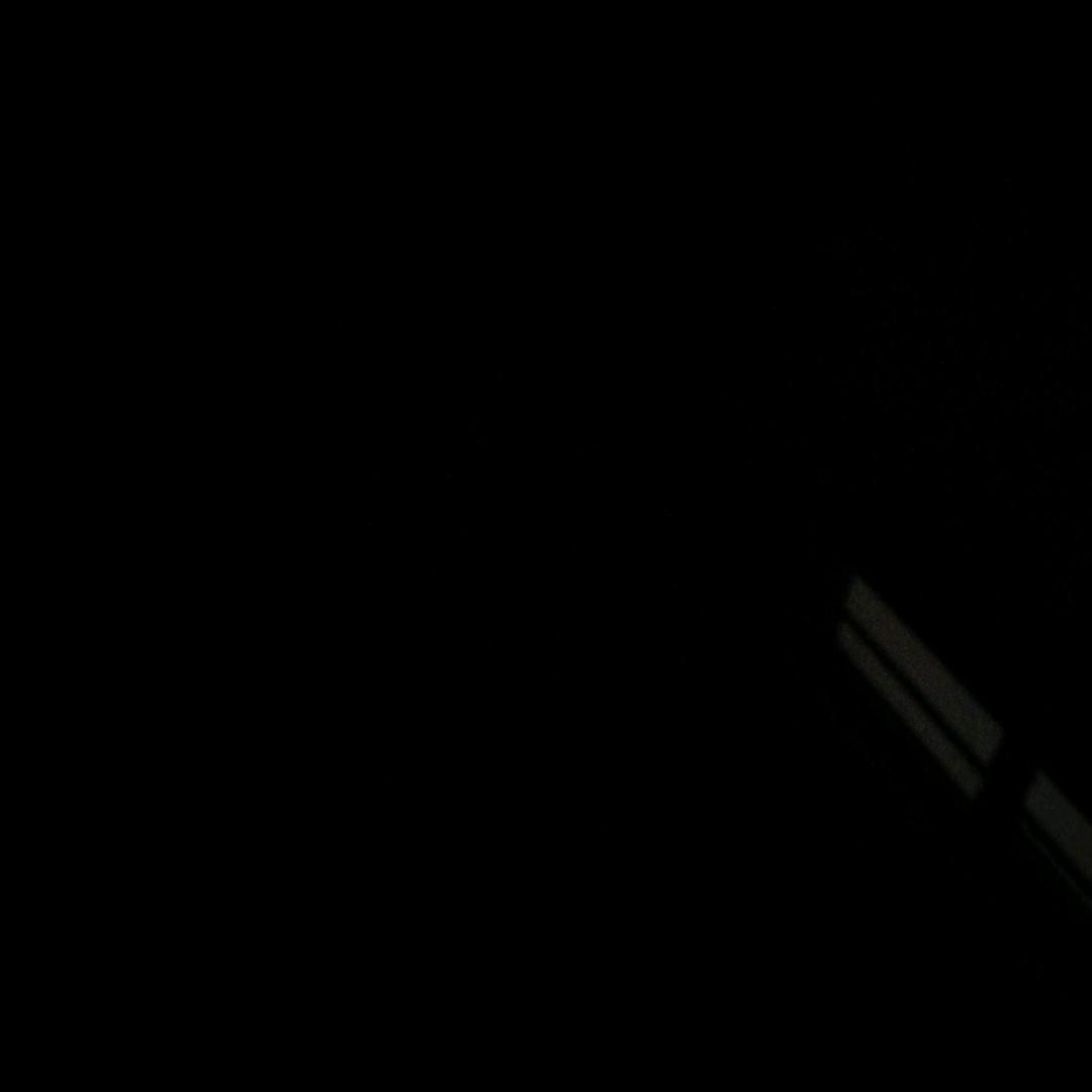 全家福