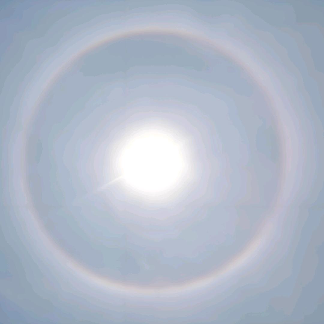 小赵哥