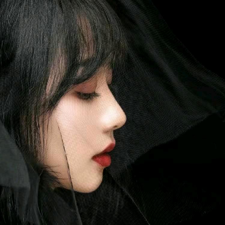 小小鸟