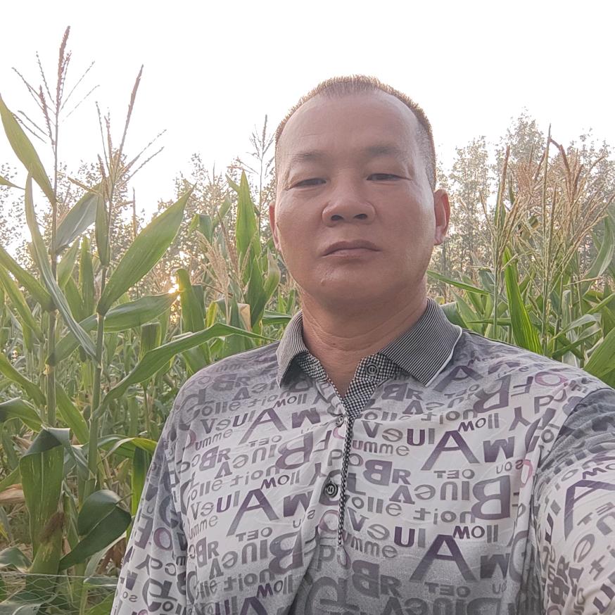 杨哥晚上7点开播