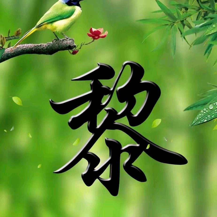 快乐人生路