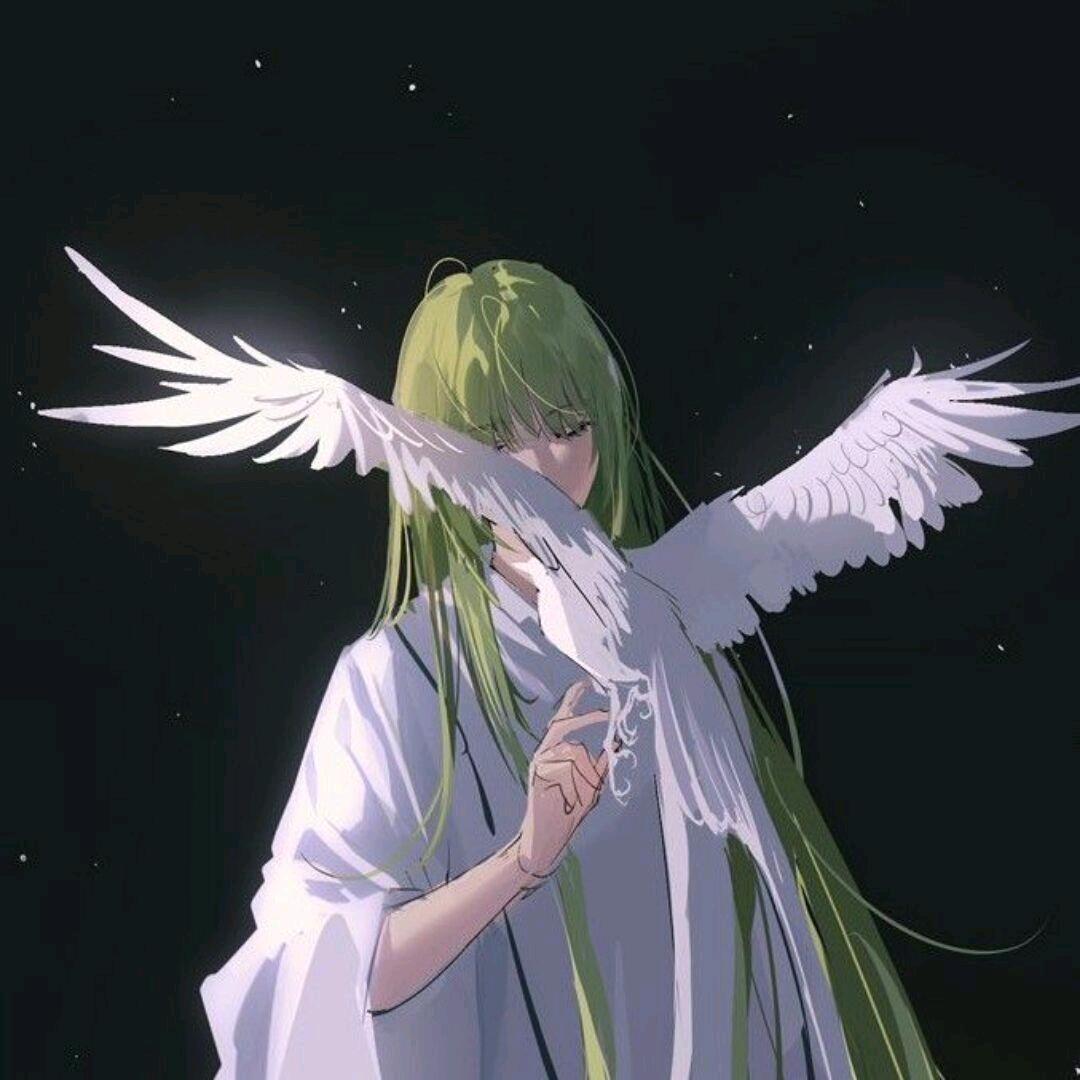 鹛