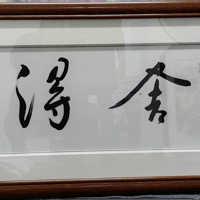 王致程学书法LT