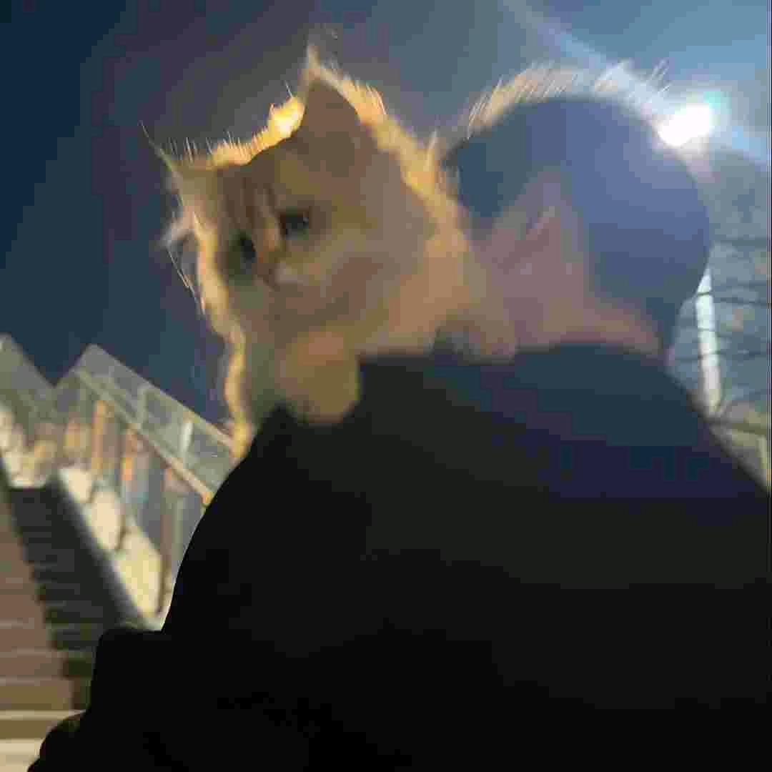 嘉少