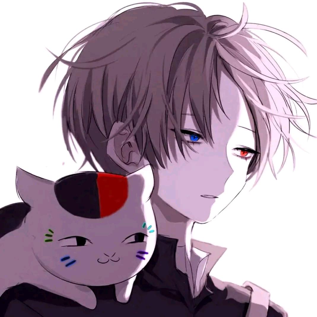 武汉网约车御林军(小张队长)