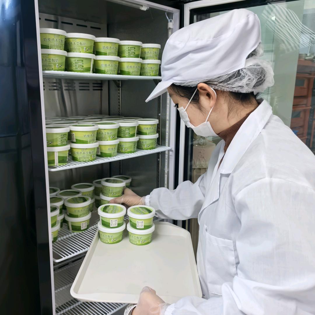 酪饱饱奶皮子手工酸奶