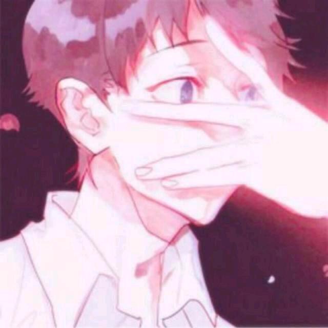 金铲铲伽Na