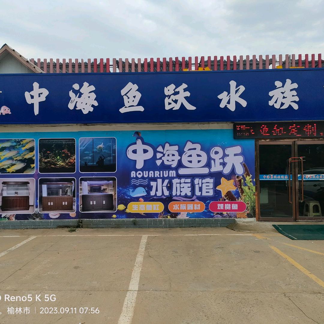 榆阳区中海鱼跃水族馆