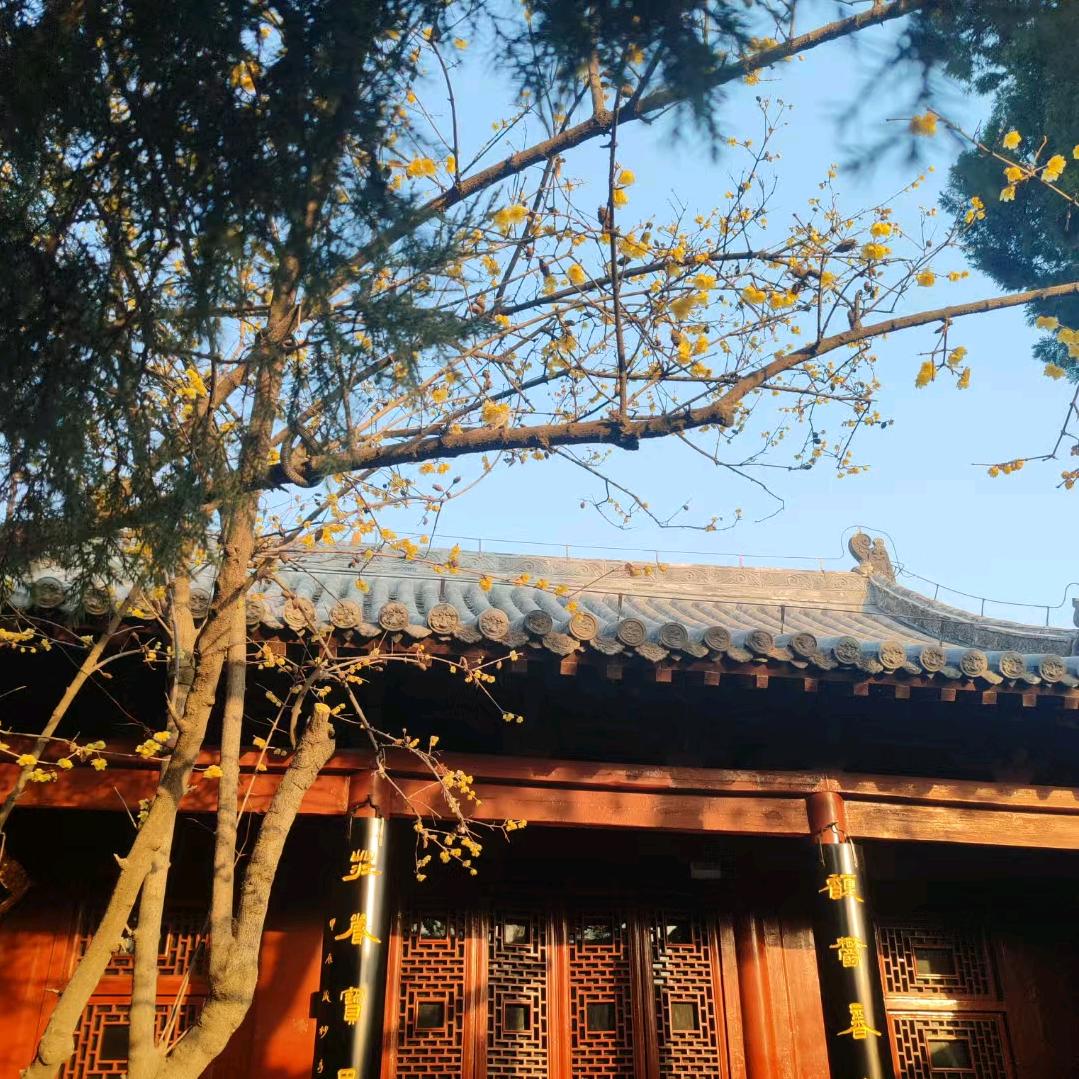 仙殿道器阁