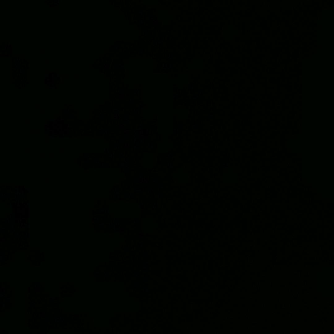 孤舟不渡未來