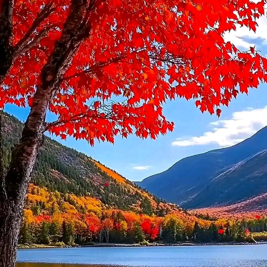 手机用户69820168249