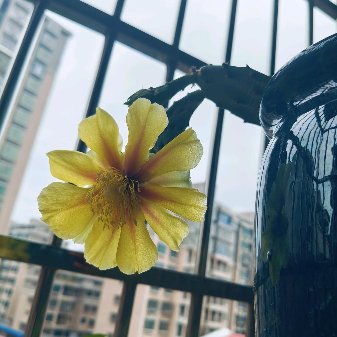 🍀铭铭🍀