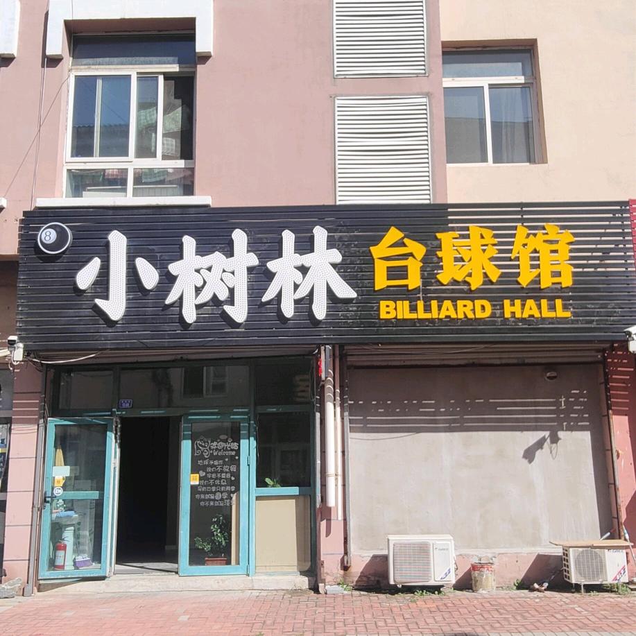 小树林台球馆