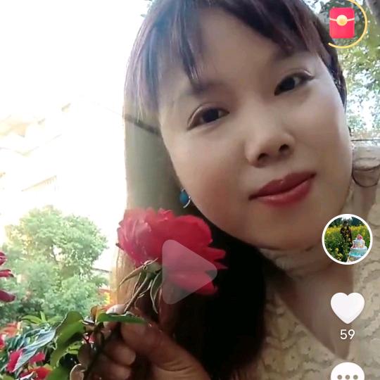 戴姐、好运来床垫，沙发店。