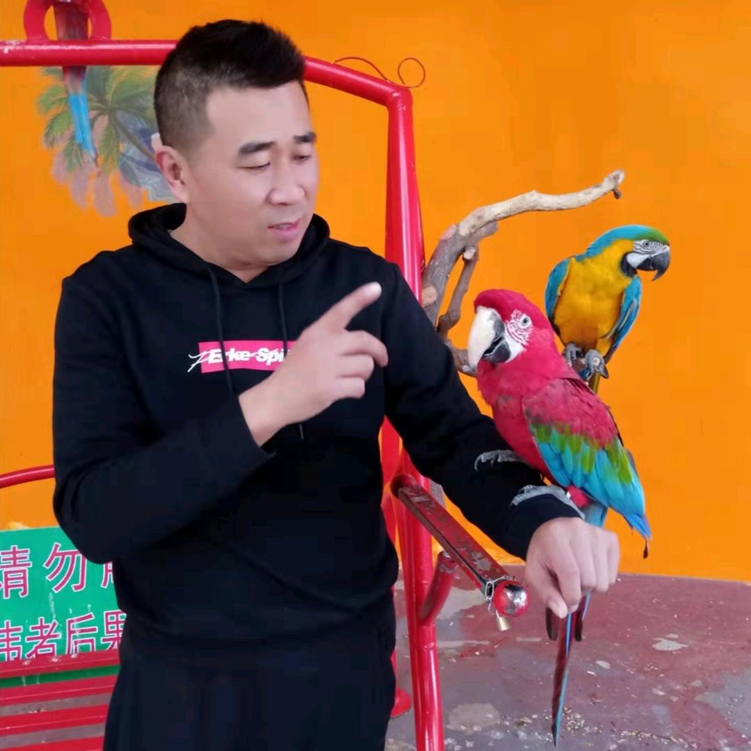 阿军 ❤️