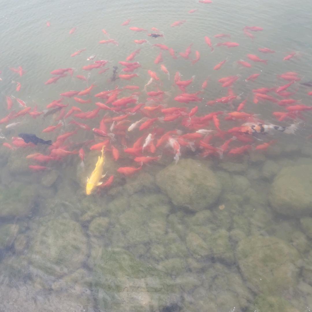 你好！