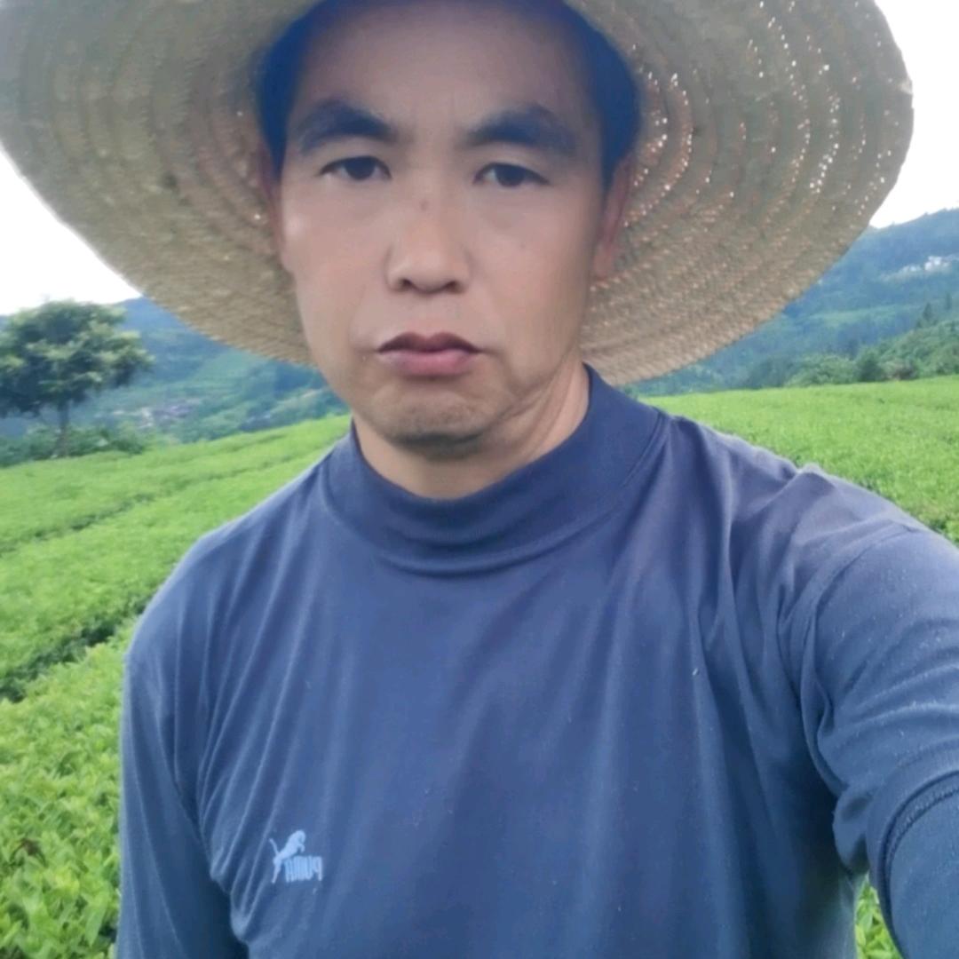 干净茶哥《鑫繁》