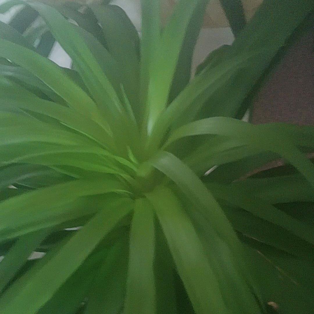 错误的人生