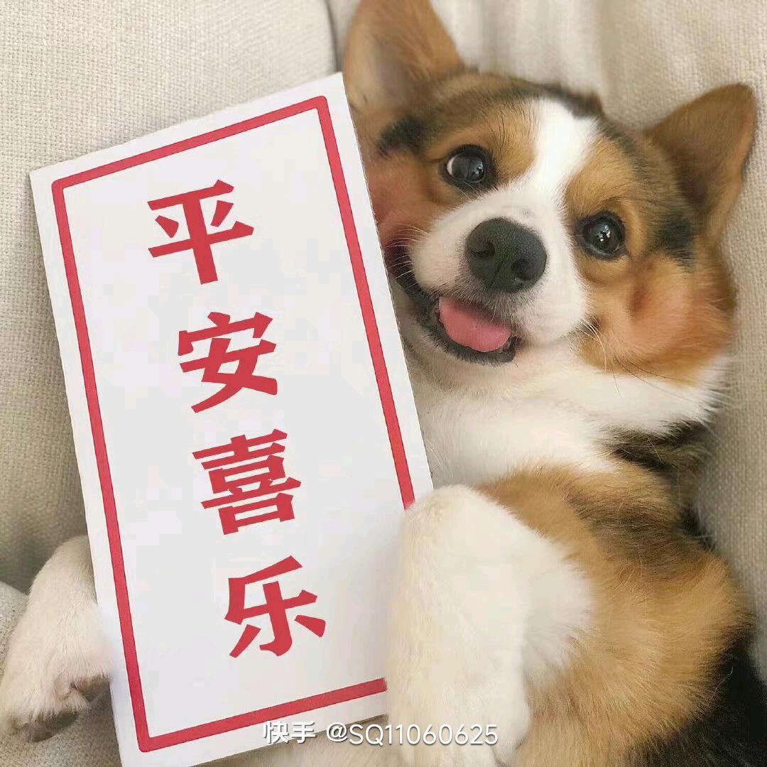 骑着毛驴上高速