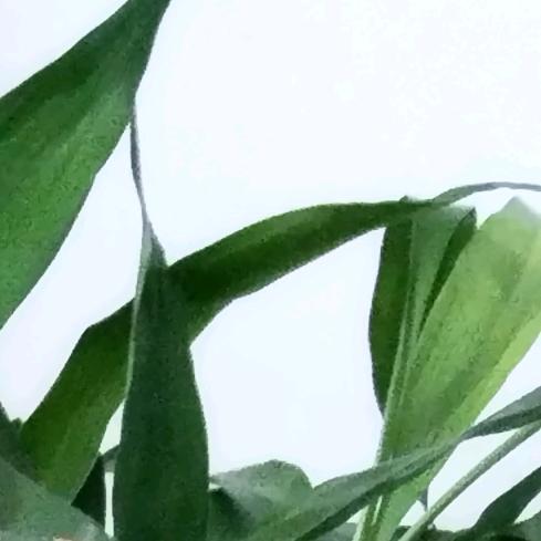 火火   火火火水水水