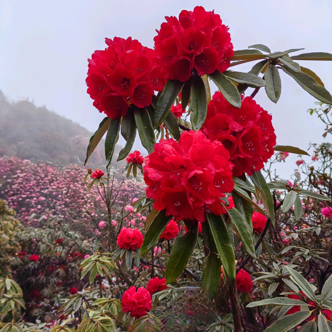 ❤浪迹♥天涯❤