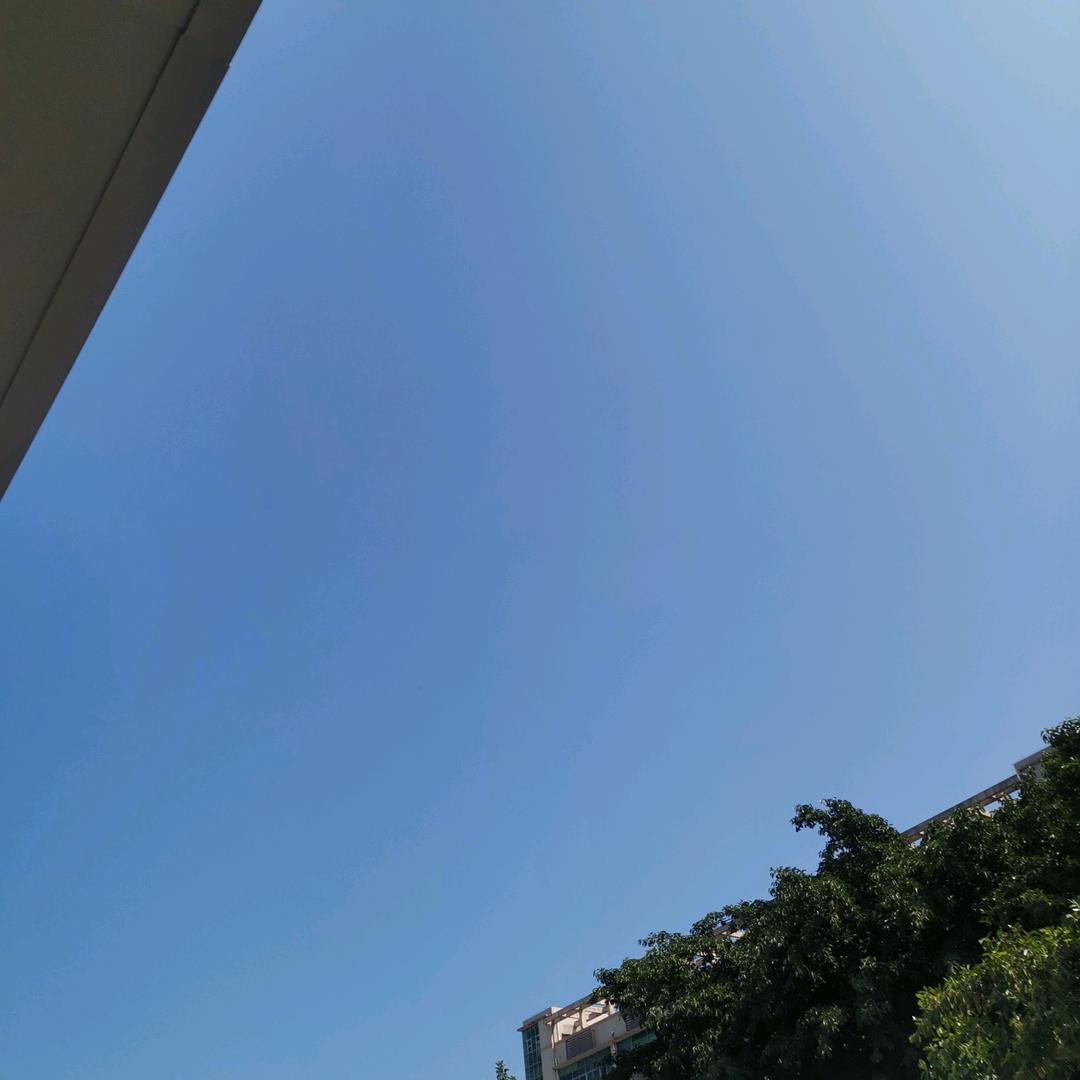 洋洋~